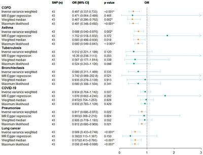 Household income unequally affects genetic susceptibility to pulmonary diseases: evidence from bidirectional Mendelian randomization study